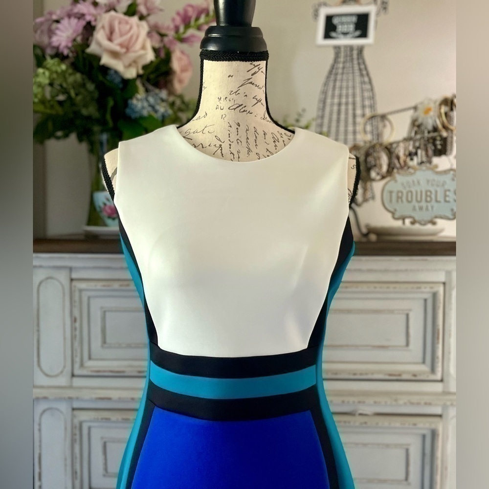 🖤GORGEOUS FABRIC! Pretty & Professional designer sheath dress, size 6-se… - Picture 6 of 14
